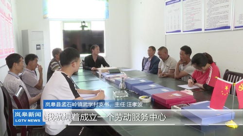 支部統(tǒng)籌勞務(wù)用工，村民家門口就業(yè)增收——孟石嶺鎮(zhèn)武學(xué)村的振興新實(shí)踐